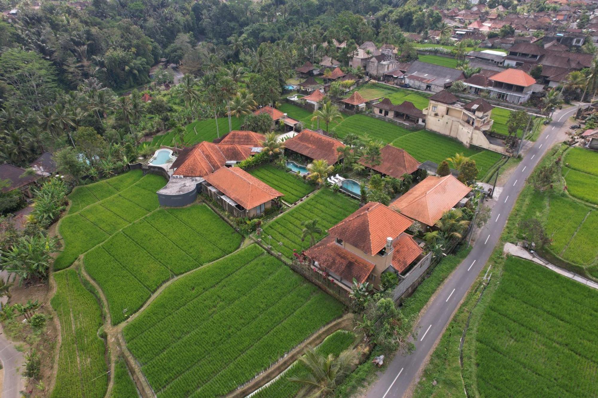 Umakelod Sebatu Villas Ubud Exteriér fotografie