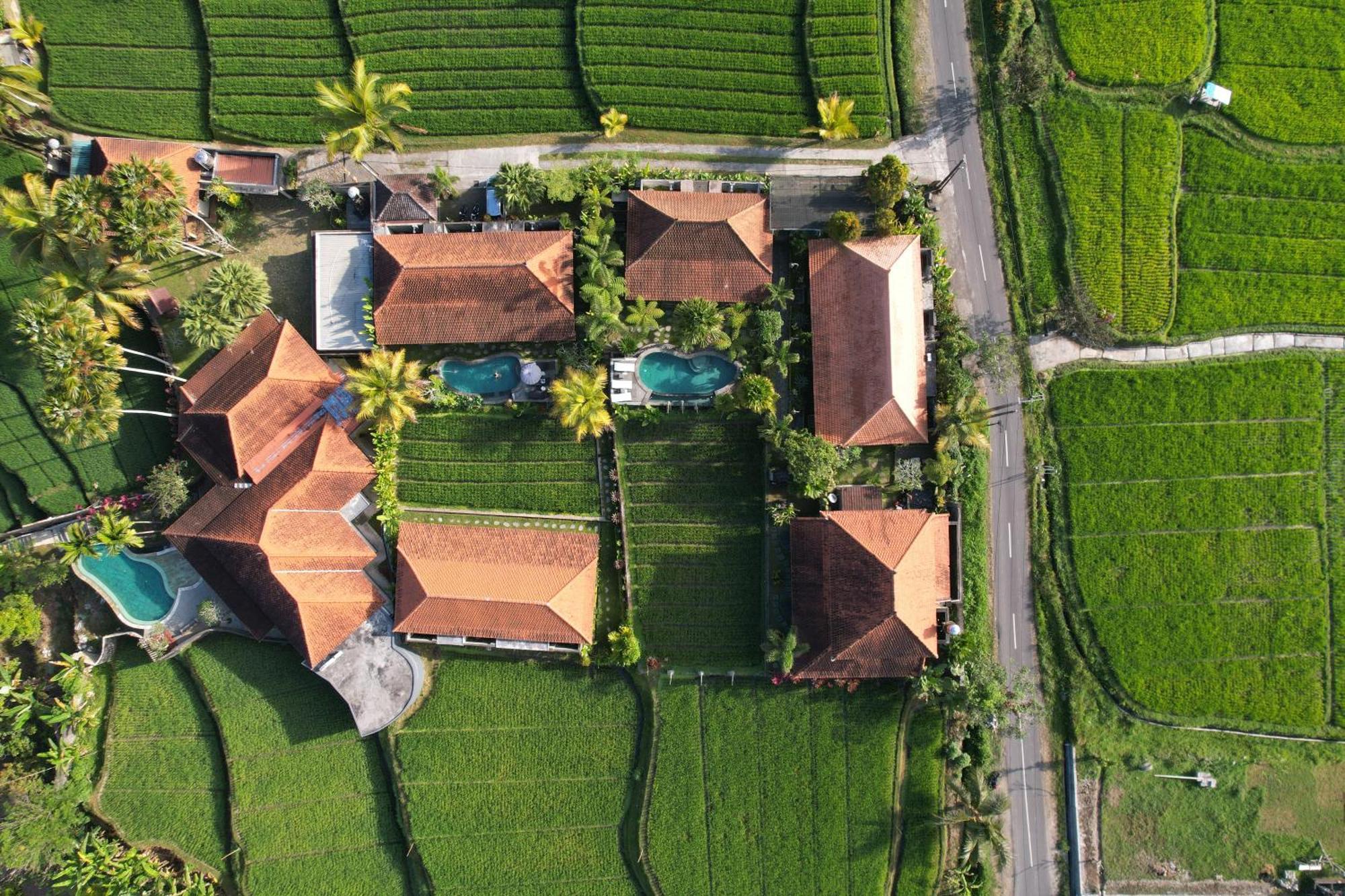 Umakelod Sebatu Villas Ubud Exteriér fotografie